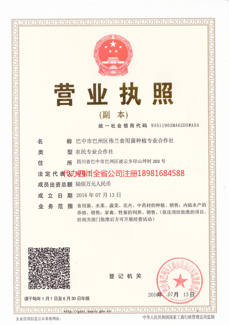 银川银川伟兰食用菌种植专业合作社